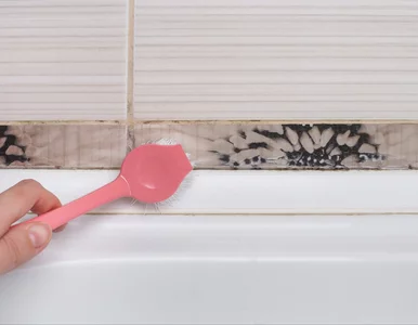 Miniatura: Pleśń w domu? Ten prosty trik sprawi, że...