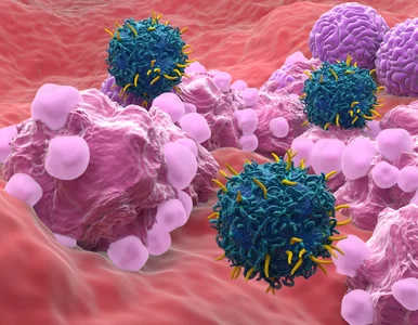 Miniatura: Szczepionki przeciwko nowotworom? Wciąż...