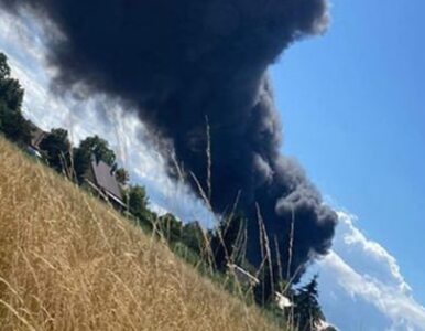 Potężny pożar w Wielkopolsce. Kłęby czarnego dymu widoczne z 20 km