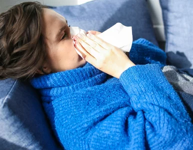 Miniatura: Podstępny wariant wirusa grypy...