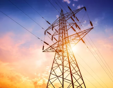 Miniatura: TK po stronie właścicieli działek z...