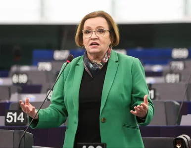Miniatura: PiS dojdzie do władzy, zniknie nowy...