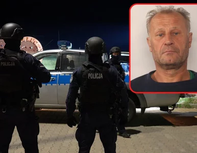 Miniatura: Autentyczność listu znalezionego przy...