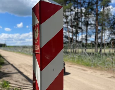 Miniatura: Interwencja Straży Granicznej. Zatrzymano...