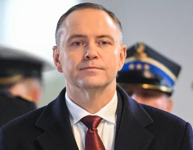 Miniatura: Węgierskie media atakują Nawrockiego. „Akt...