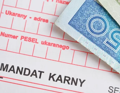 Miniatura: Mandaty w Polsce będą radykalnie wyższe....