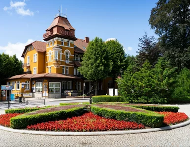 Miniatura: Ani gęsi, ani labubu. Teraz turyści na...