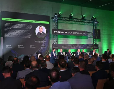 Miniatura: Przemysł dla obronności: MON zapowiada...