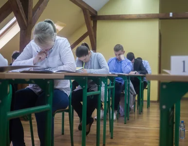 Miniatura: Matura 2026. Tematy wypracowań z języka...