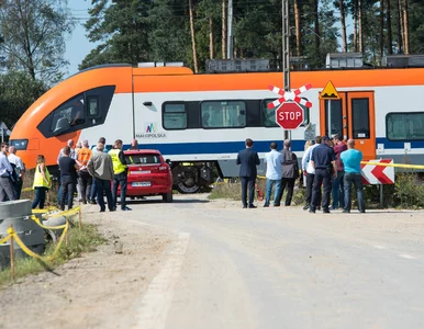 Miniatura: Krótki tekst o zabijaniu na drodze, czyli...