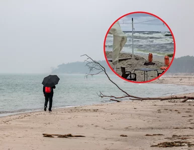 Miniatura: Tak wyglądają wakacje nad Bałtykiem....