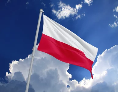 Miniatura: Jak samych siebie oceniają Polacy? Ten...