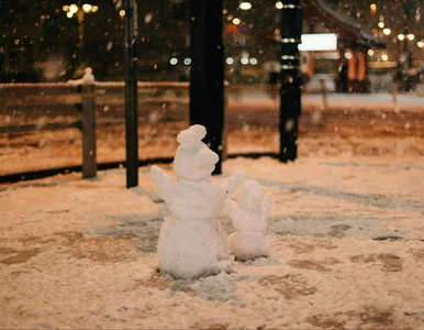 Miniatura: Takie będą Święta Bożego Narodzenia. Nowa...