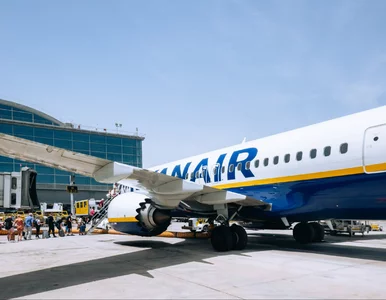 Miniatura: Praca czeka na Polaków w Ryanair. Tego...