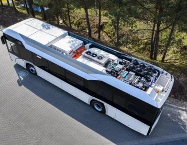Miniatura: Poznaniacy będą jeździć autobusami...