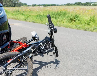 Miniatura: Czego najbardziej boją się rowerzyści w...