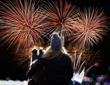 Miniatura: Specjaliści ostrzegają przed fajerwerkami....