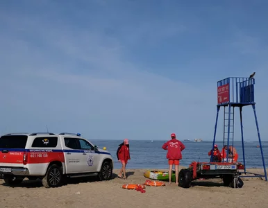 Miniatura: Koszmar na oczach plażowiczów. Bezwładne...