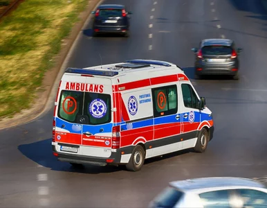 Miniatura: Wracała ze szkoły, nagle doszło do...