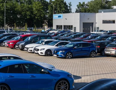 Miniatura: Auta używane. Powstała nowa marka na rynku...