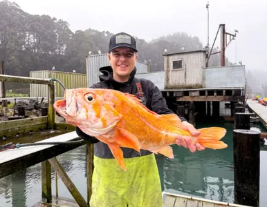 Miniatura: Wędkarz wypłynął na chwilę, pobił rekord....
