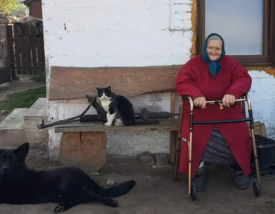 Miniatura: Hospicjum na końcu świata. „Na wsi choruje...