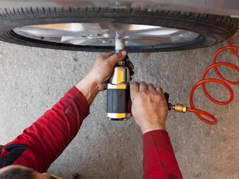 Car tires kill salmon. How is this possible? Daily News Hack