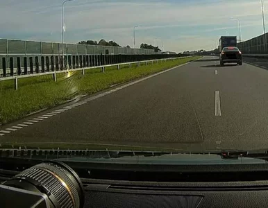Miniatura: „Krokodylki” złapali ją na radar. Czy...