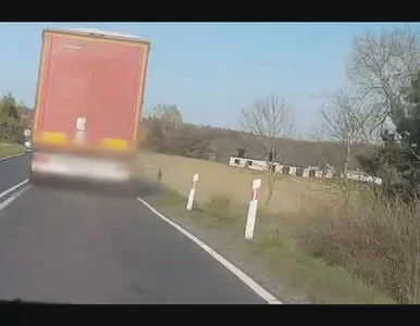 Miniatura: Policja opublikowała wstrząsające...