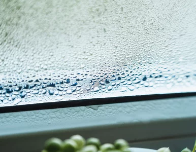 Miniatura: Nie osuszacz, nie chemia. Ten czarny...