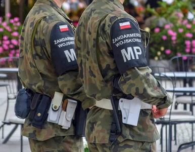 Miniatura: PiS chce powołać nową służbę. Będzie mogła...