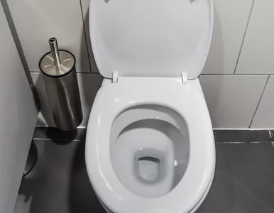 Miniatura: Wystarczy pół szklanki. Kamień z toalety...