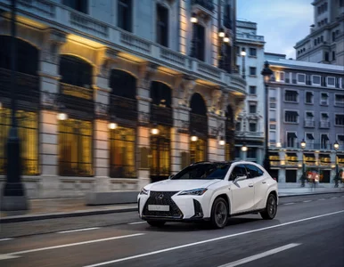 Miniatura: I pandemiczny, i rekordowy rok. Lexus...