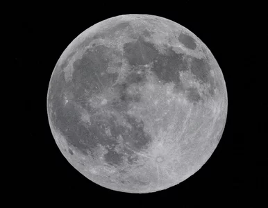 Miniatura: „Zimny Księżyc” rozświetli niebo. Z...