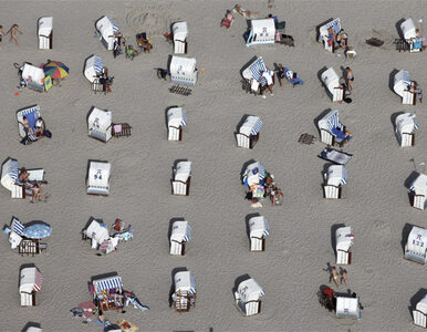 Miniatura: Sinice zamknęły plażę w Szczecinku