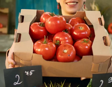 Miniatura: Takie pomidory zepsują się ekspresowo....