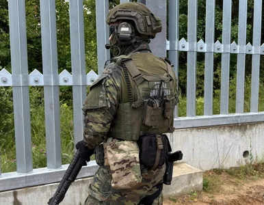 Miniatura: Najnowsze dane z granic. Ministerstwo...