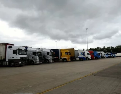 Miniatura: Ogromna kara UOKiK-u dla dealerów...