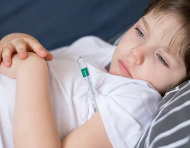 Miniatura: Meningokoki atakują szybciej, niż myślisz....