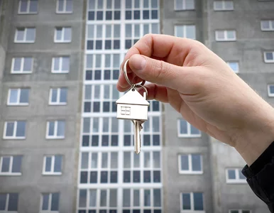 Miniatura: Na rynku wtórnym ofert pod dostatkiem....