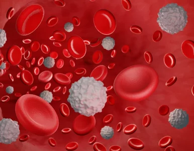 Miniatura: To może zmienić leczenie białaczki....