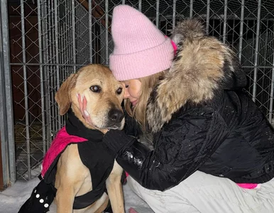 Miniatura: Doda mówi „stop”. Dramatyczne wyznanie...