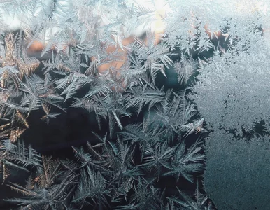 Miniatura: Po wiośnie ani śladu. Nadchodzi fala...