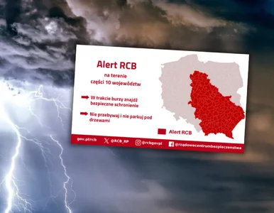 Miniatura: Alert RCB dla 10 województw. Polskę...