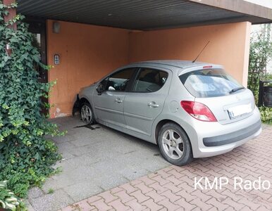 Miniatura: Kierowca Peugeota próbował zaparkować......