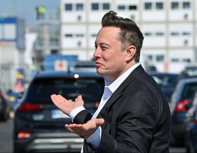 Miniatura: Elon Musk „nie rozumie, co się dzieje”....