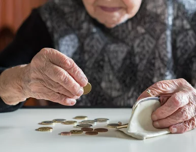 Miniatura: Najniższe emerytury w Polsce. Ci seniorzy...