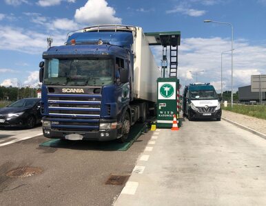 Miniatura: Ciężarówki na polskich drogach są w złym...