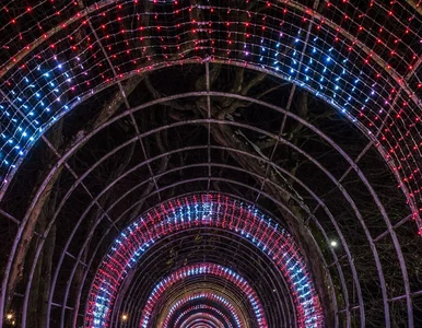 Miniatura: Niemiecki dziennik dostrzegł polską...