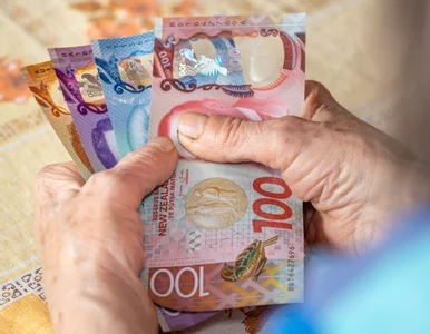 Miniatura: Kursy walut 21 marca 2025. Po ile dolar,...